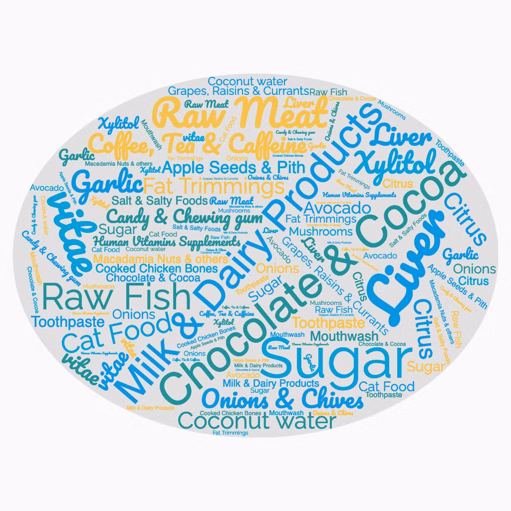 List Of Common Food Items That Are Bad For Your Dog