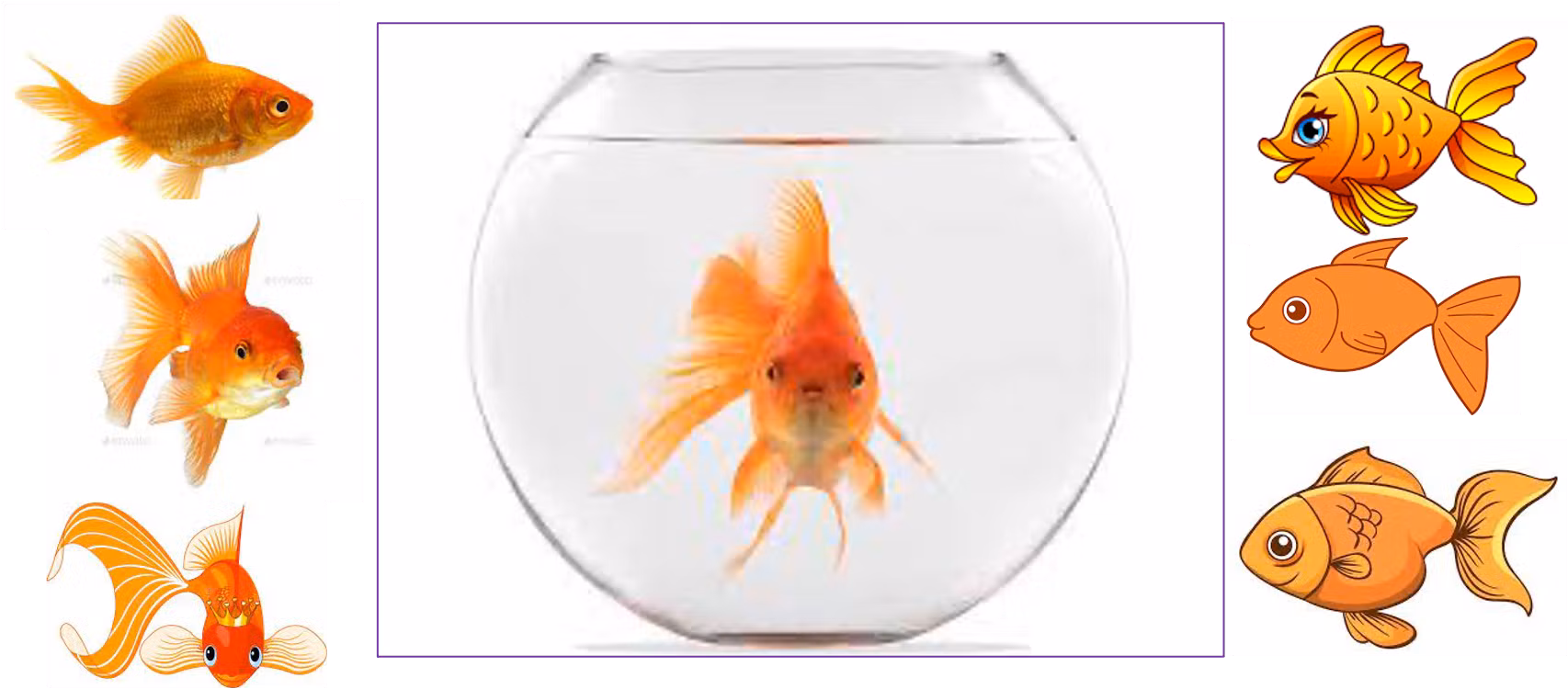 Goldfish - Health Issues