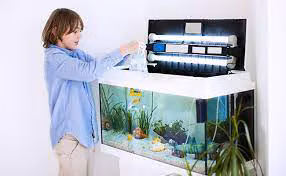 Establishing a Stable Nitrogen Cycle in Your Fish Tank: Methods and Tips