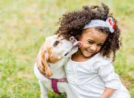 Choosing the Right Dog: Pros and Cons of Adopting at Different Life Stages